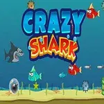 Värikäs vedenalainen kohtaus, jossa on haita, kaloja, sukellusveneitä ja merenpohjan kasveja, keskellä teksti Crazy Shark
