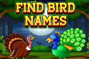 Kaksi sarjakuvamaista lintua, kalkkuna ja riikinkukko, seisovat metsässä kuutamon alla, ja yläpuolella lukee FIND BIRD NAMES