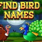 Kaksi sarjakuvamaista lintua, kalkkuna ja riikinkukko, seisovat metsässä kuutamon alla, ja yläpuolella lukee FIND BIRD NAMES