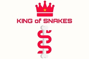 Punainen kruunukuvio, teksti King of Snakes punaisella, ja sen alla punainen geometrinen käärmekuvio valkoisella taustalla