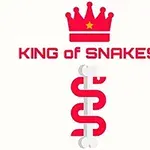 Punainen kruunukuvio, teksti King of Snakes punaisella, ja sen alla punainen geometrinen käärmekuvio valkoisella taustalla